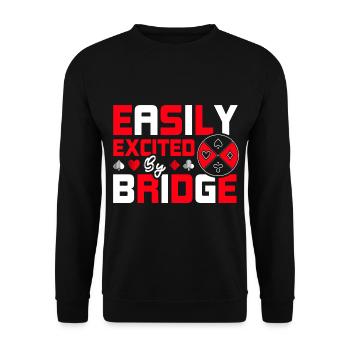 Leicht aufgeregt durch Bridge - Unisex Pullover - Schwarz - Vorne - Alina (178cm) & Michal (187cm)