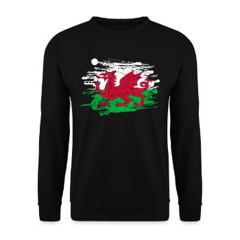 Wales Flagge St Davids Day Cymraeg Waliser Wappen - Unisex Pullover - Schwarz - Vorne - Alina (178cm) & Michal (187cm)