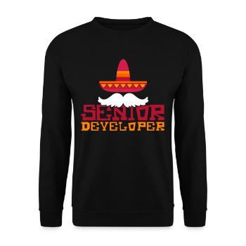 Senior Developer Programming Programmer - Unisex Sweatshirt - black - Front - Alina (178cm) & Michal (187cm)