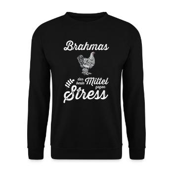 Brahma Hühner I Chicken Geflügel Motiv für - Unisex Pullover - Schwarz - Vorne - Alina (178cm) & Michal (187cm)