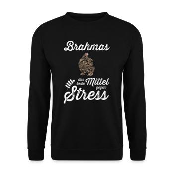 Brahma Hühner I Chicken Geflügel Motiv für - Unisex Pullover - Schwarz - Vorne - Alina (178cm) & Michal (187cm)
