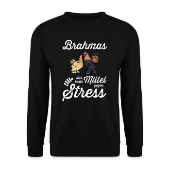 Brahma Hühner I Chicken Geflügel Motiv für - Unisex Pullover - Schwarz - Vorne - Alina (178cm) & Michal (187cm)