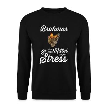 Brahma Hühner I Chicken Geflügel Motiv für - Unisex Pullover - Schwarz - Vorne - Alina (178cm) & Michal (187cm)