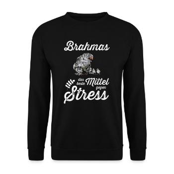 Brahma Hühner I Chicken Geflügel Motiv für - Unisex Pullover - Schwarz - Vorne - Alina (178cm) & Michal (187cm)