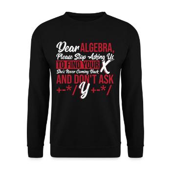 Zahlen Mathelehrer Graph Liebe Algebra Bitte hör - Unisex Pullover - Schwarz - Vorne - Alina (178cm) & Michal (187cm)