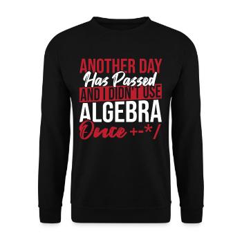 Algebra Lover Graph Math Nerd I Didn't Use Algebra - Unisex Sweatshirt - black - Front - Alina (178cm) & Michal (187cm)