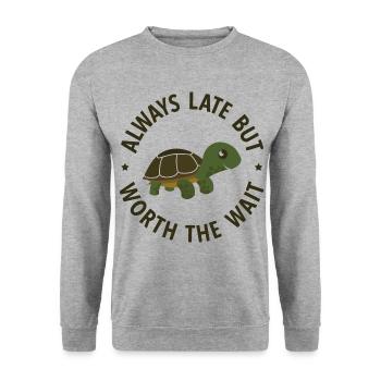 Schildkröten - Unisex Pullover - Weißgrau meliert - Vorne - Alina (178cm) & Michal (187cm)