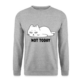 Not Today Funny Cat Cats Gift T-Shirt - Unisex Sweatshirt - salt & pepper - Front - Alina (178cm) & Michal (187cm)
