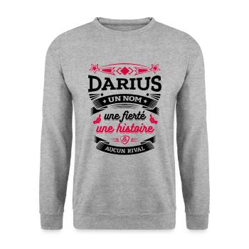 DARIUS UN NOM UNE FIERTÉ AUCUN RIVAL - Sweat-shirt Unisexe - gris chiné - Devant - Alina (178cm) & Michal (187cm)