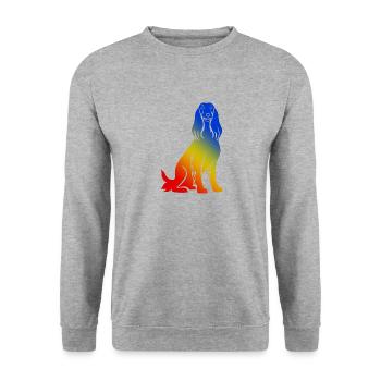 Chien Courant Afghan Coloré - Sweat-shirt Unisexe - gris chiné - Devant - Alina (178cm) & Michal (187cm)