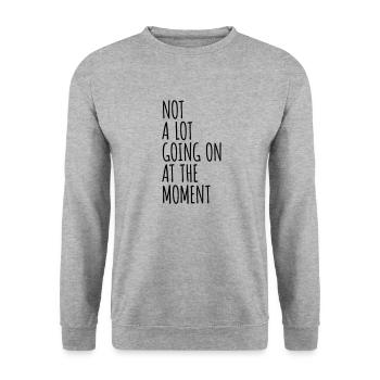 Il ne se passe pas grand-chose - Sweat-shirt Unisexe - gris chiné - Devant - Alina (178cm) & Michal (187cm)