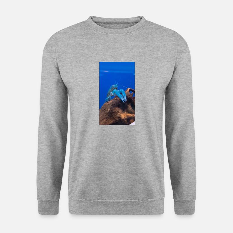 BlueCrap - Unisex Pullover - Weißgrau meliert