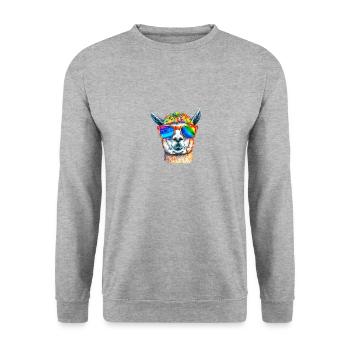 Alpaga, LGTB, arc-en-ciel, lunettes de soleil, coloré - Sweat-shirt Unisexe - gris chiné - Devant - Alina (178cm) & Michal (187cm)
