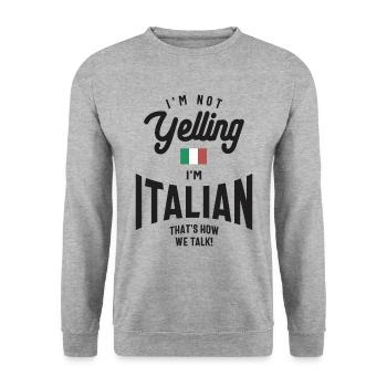 Je ne crie pas Je suis Italien Drôle De Fierté Italienne - Sweat-shirt Unisexe - gris chiné - Devant - Alina (178cm) & Michal (187cm)