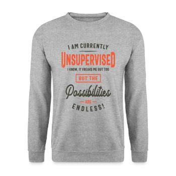 I Am Currently Unsupervised Funny Sarcasm - Unisex Sweatshirt - salt & pepper - Front - Alina (178cm) & Michal (187cm)