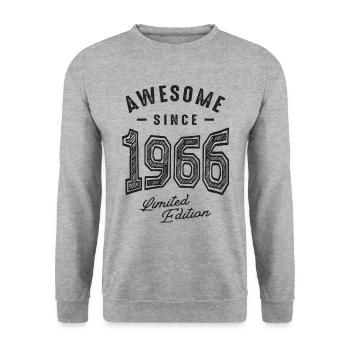 Awesome Since 1966 - 56th Birthday - Unisex Sweatshirt - salt & pepper - Front - Alina (178cm) & Michal (187cm)