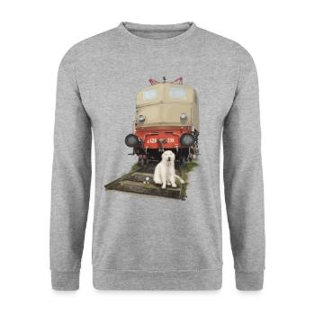Golden Retriever with Train - Unisex Sweatshirt - salt & pepper - Front - Alina (178cm) & Michal (187cm)
