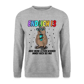 13 Geburtstag Fun Geschenk lustig 13. Ehrentag - Unisex Pullover - Weißgrau meliert - Vorne - Alina (178cm) & Michal (187cm)
