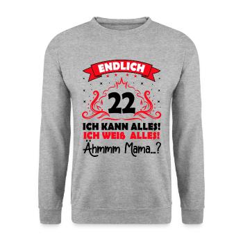 22 Geburtstag Mädchen Junge Fun Geschenk lustig - Unisex Pullover - Weißgrau meliert - Vorne - Alina (178cm) & Michal (187cm)