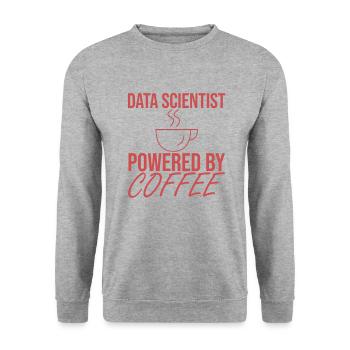 "Data Scientist Coffee | Data Scientist" - Unisex Sweatshirt - salt & pepper - Front - Alina (178cm) & Michal (187cm)