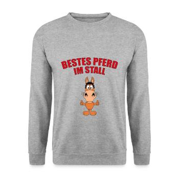 BESTES PFERD IM STALL - REITEN - PONY - PFERDE - Unisex Pullover - Weißgrau meliert - Vorne - Alina (178cm) & Michal (187cm)