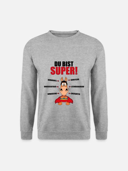 DU BIST SUPER! - SUPERHELD - PFERD - PONY - REITEN - Unisex Pullover - Weißgrau meliert