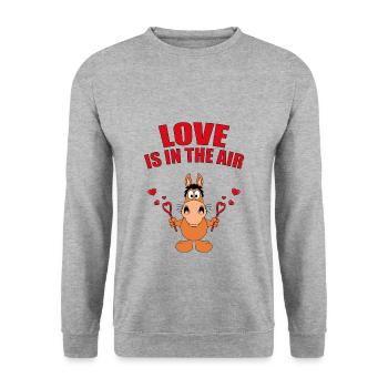 LOVE IS IN THE AIR - SEIFENBLASEN - PFER - PONY - Unisex Pullover - Weißgrau meliert - Vorne - Alina (178cm) & Michal (187cm)