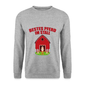 BESTES PFERD IM STALL - REITEN - PFERDE - TIER - Unisex Pullover - Weißgrau meliert - Vorne - Alina (178cm) & Michal (187cm)