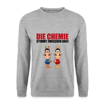 PFERDE - LIEBE - DIE CHEMIE STIMMT ZWISCHEN UNS - Unisex Pullover - Weißgrau meliert - Vorne - Alina (178cm) & Michal (187cm)