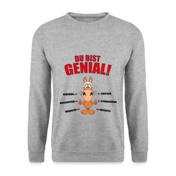 DU BIST GENIAL! - PFERD - REITEN - REITERIN - TIER - Unisex Pullover - Weißgrau meliert - Vorne - Alina (178cm) & Michal (187cm)