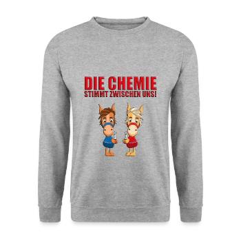PFERDE - PFERD - CHEMIE - CHEMIKER - LIEBE - LOVE - Unisex Pullover - Weißgrau meliert - Vorne - Alina (178cm) & Michal (187cm)