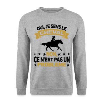 Oui Je Sens Le Cheval non ce n est pas un problème - Sweat-shirt Unisexe - gris chiné - Devant - Alina (178cm) & Michal (187cm)