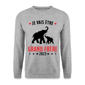 Je Vais Être Grand Frère en 2023 - Sweat-shirt Unisexe - gris chiné - Devant - Alina (178cm) & Michal (187cm)