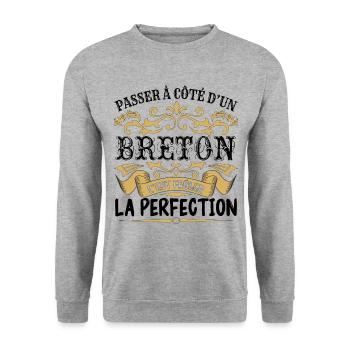 Breton | le Meilleur cadeau Breton - Sweat-shirt Unisexe - gris chiné - Devant - Alina (178cm) & Michal (187cm)