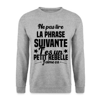 Ne pas lire la phrase suivante - Sweat-shirt Unisexe - gris chiné - Devant - Alina (178cm) & Michal (187cm)