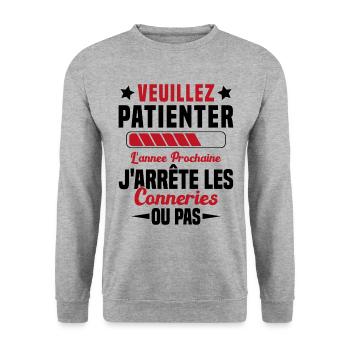 J'arrête les conneries humour - Sweat-shirt Unisexe - gris chiné - Devant - Alina (178cm) & Michal (187cm)