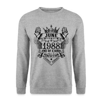 Geburtstag Juni 1988 geboren im Juni 1988 - Unisex Pullover - Weißgrau meliert - Vorne - Alina (178cm) & Michal (187cm)