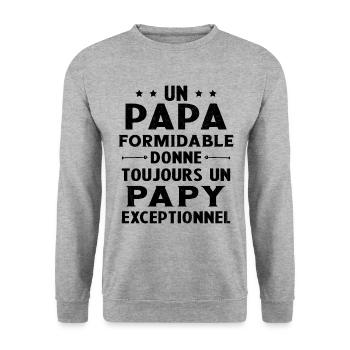 Un papa formidable - Papy exceptionnel Cadeau - Sweat-shirt Unisexe - gris chiné - Devant - Alina (178cm) & Michal (187cm)