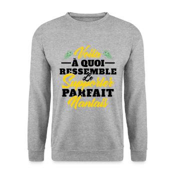 Supporter Nantais Cadeau Foot-ball Club Nantes - Sweat-shirt Unisexe - gris chiné - Devant - Alina (178cm) & Michal (187cm)