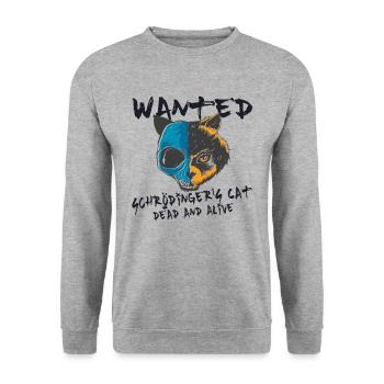 Schrödingers Katze Physik Schrödinger's Cat Geeks - Unisex Pullover - Weißgrau meliert - Vorne - Alina (178cm) & Michal (187cm)