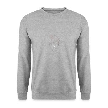 Maler Handwerker Beruf Spruch Geschenk - Unisex Pullover - Weißgrau meliert - Vorne - Alina (178cm) & Michal (187cm)