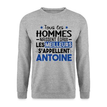 Antoine Prénom Homme Cadeau Humour - Sweat-shirt Unisexe - gris chiné - Devant - Alina (178cm) & Michal (187cm)