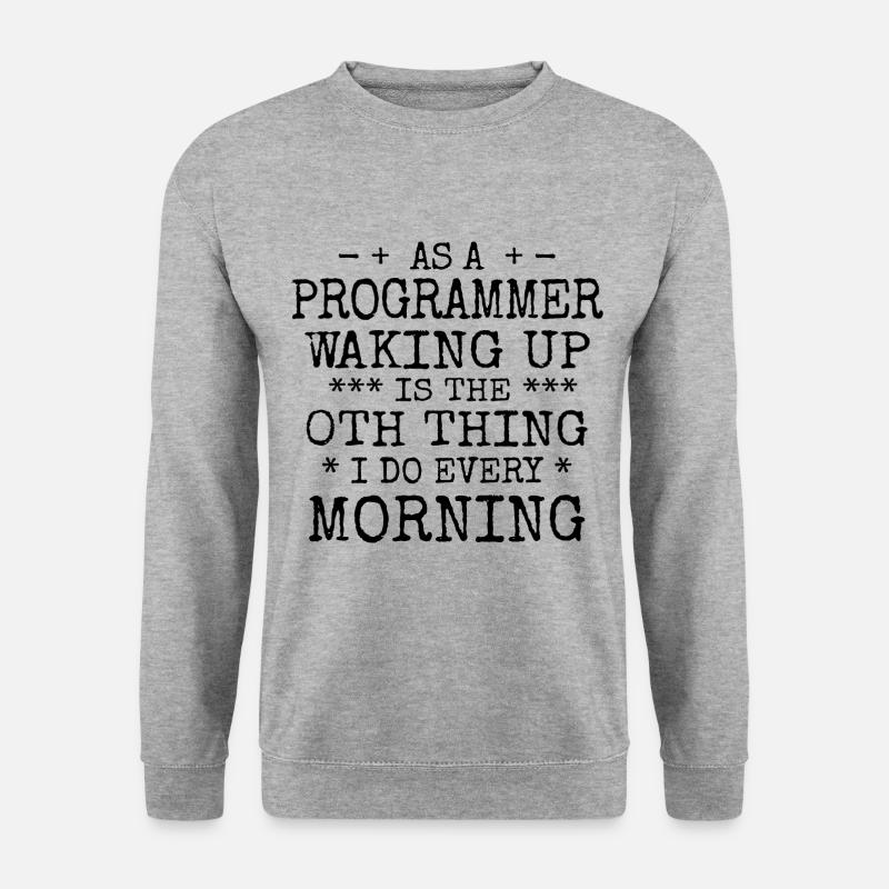 Software Ingenieur Informatiker Programmierer - Unisex Pullover - Weißgrau meliert