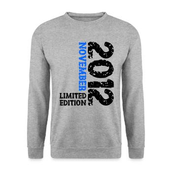 2012 Novembre Édition Limitée 11ème Anniversaire Décoration - Sweat-shirt Unisexe - gris chiné - Devant - Alina (178cm) & Michal (187cm)