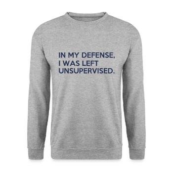 Zu meiner Verteidigung wurde ich unbeaufsichtigt gelassen - Unisex Pullover - Weißgrau meliert - Vorne - Alina (178cm) & Michal (187cm)
