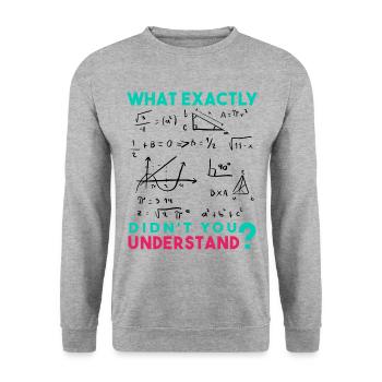 Funny Math Jokes, Physics and Math Formulas Saying - Unisex Sweatshirt - salt & pepper - Front - Alina (178cm) & Michal (187cm)