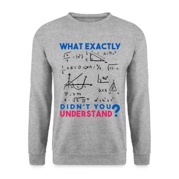 Funny Math Jokes, Physics and Math Formulas Saying - Unisex Sweatshirt - salt & pepper - Front - Alina (178cm) & Michal (187cm)