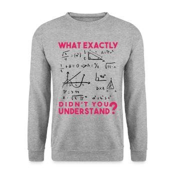 Funny Math Jokes, Physics and Math Formulas Saying - Unisex Sweatshirt - salt & pepper - Front - Alina (178cm) & Michal (187cm)