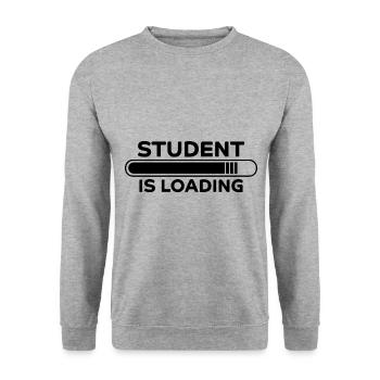 Student Spruch Uni Universität Student Geschenk - Unisex Pullover - Weißgrau meliert - Vorne - Alina (178cm) & Michal (187cm)