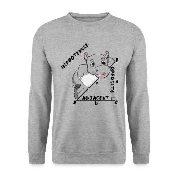Hippotenuse Cool Fun Shirt Pythagoras Mathe Lovers - Unisex Pullover - Weißgrau meliert - Vorne - Alina (178cm) & Michal (187cm)